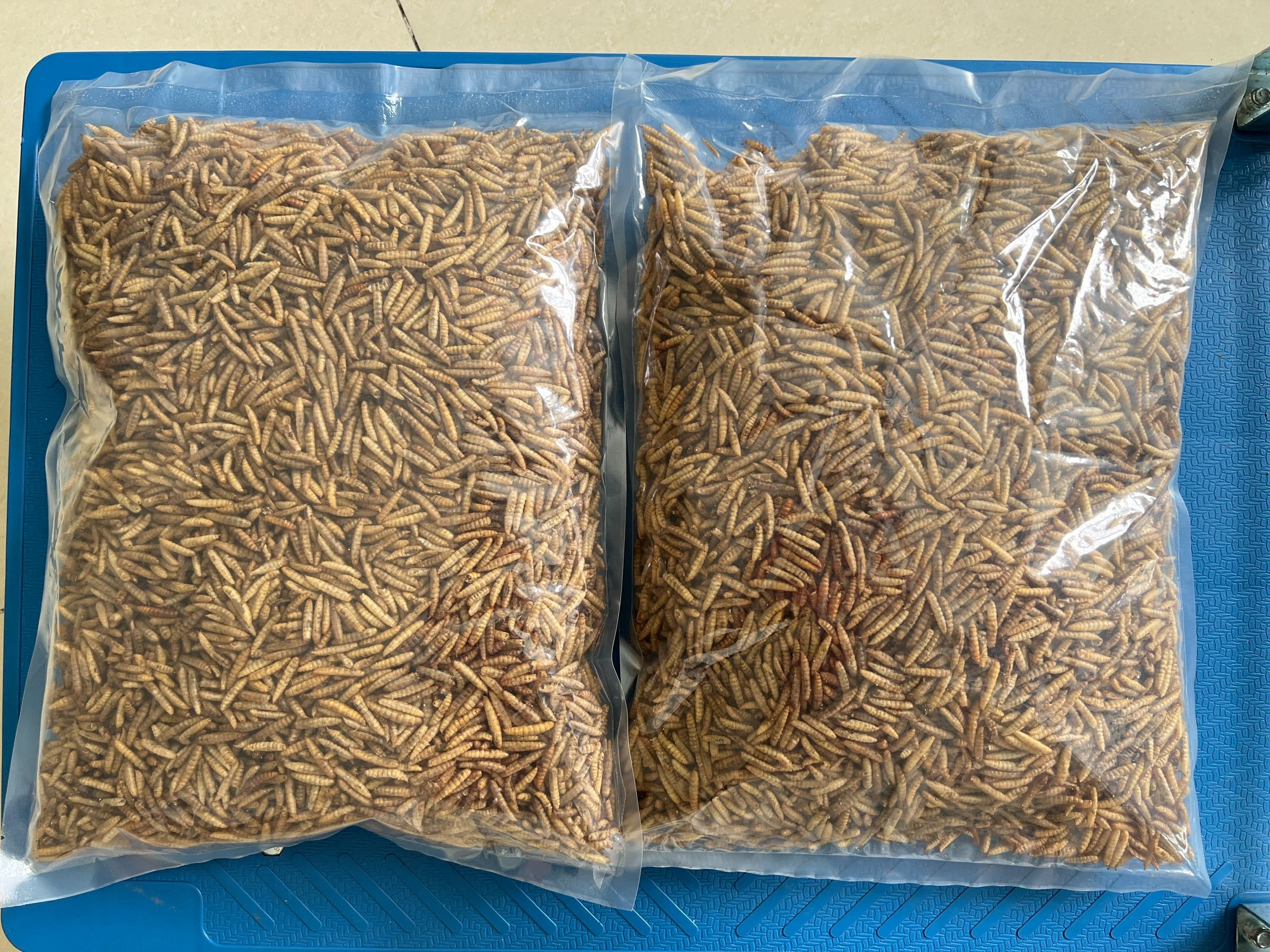Combo 2kg (LOẠI 1) Sâu canxi sấy khô vàng giòn thơm, thức ăn yêu thích của thú cưng