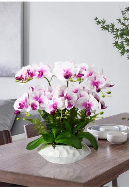 Hoa giả- Một cành hoa lan hồ điệp 7 bông trang trí chậu lan(không kèm chậu)