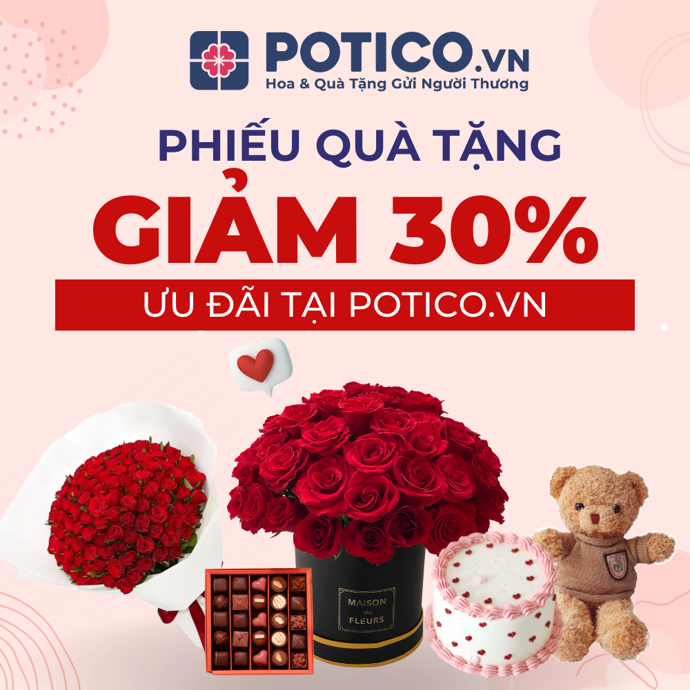 HCM [E-Voucher] Mã giảm giá 30% tối đa 100k cho mọi đơn hàng tại web/app Potico.vn