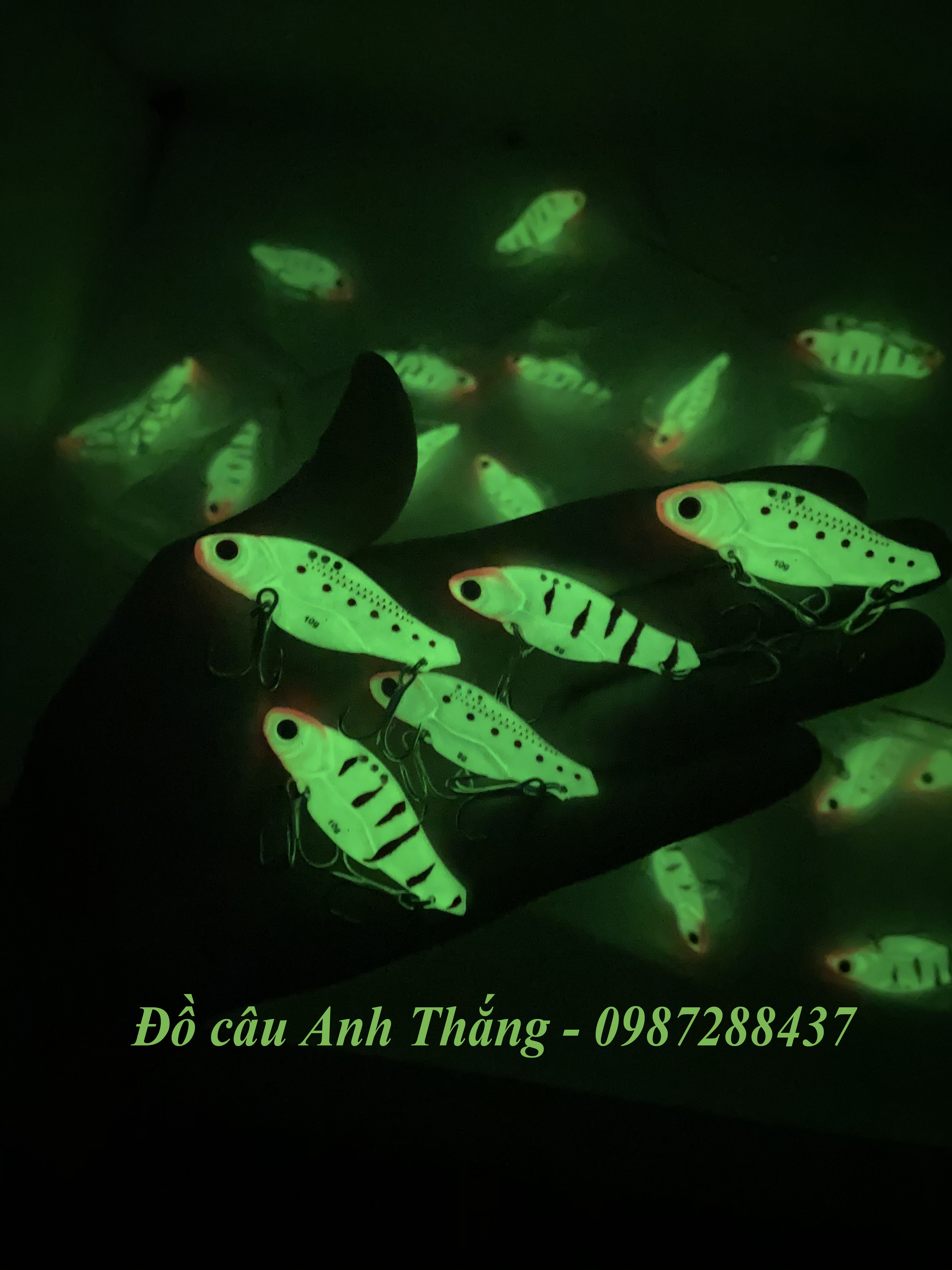 Cá sắt Orichi dạ quang