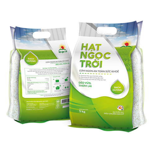Gạo hạt ngọc trời bạch dương -gạo đặc sản thơm lài - bao 5kg