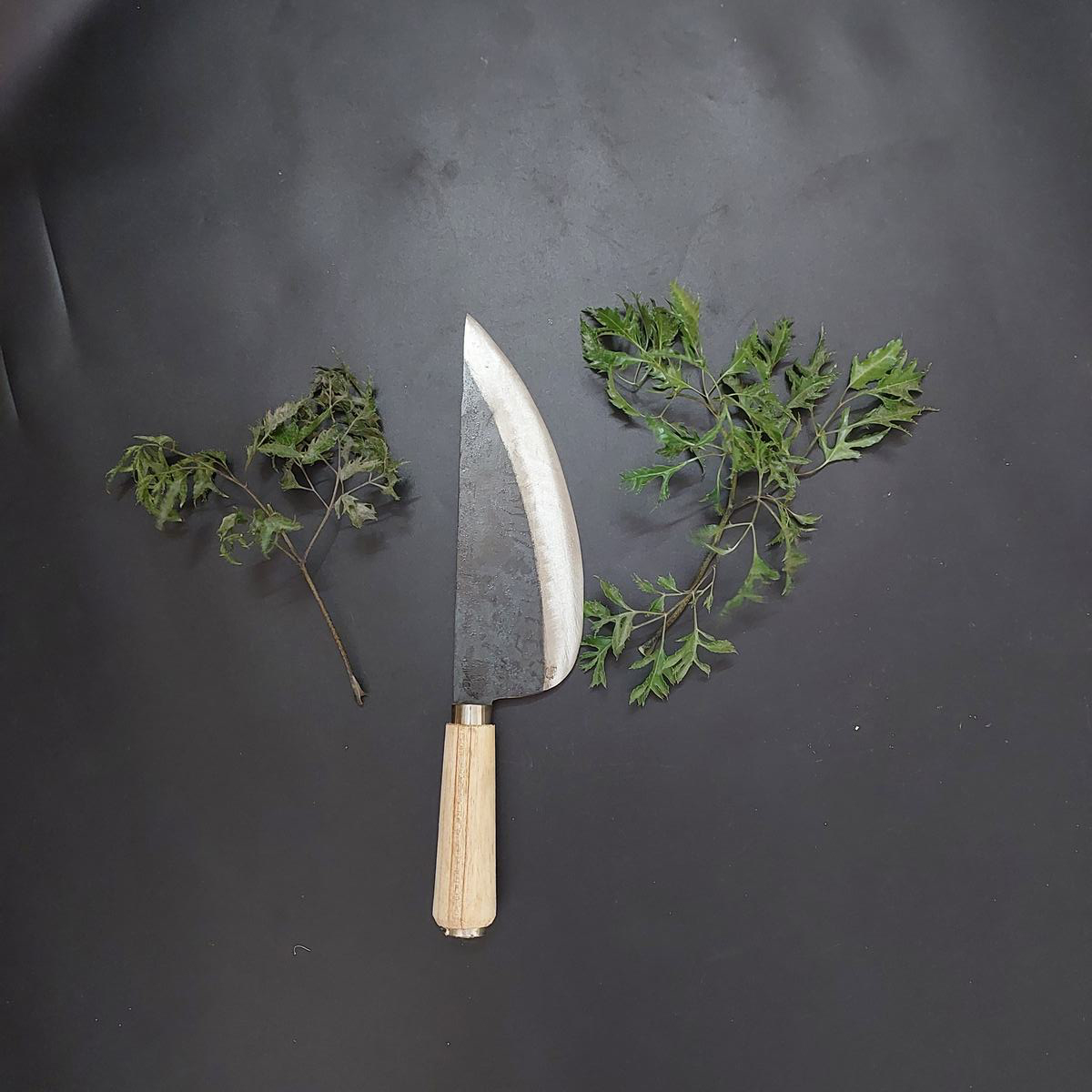 Dao bầu lọc thịt nhà bếp thép nhíp siêu bén chuyên thái lọc