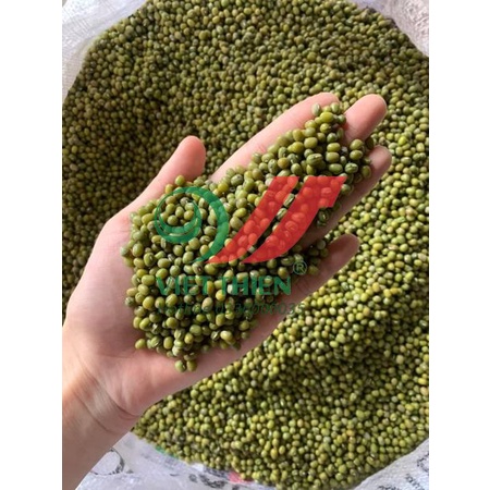 1kg hạt đậu xanh/đỗ xanh nguyên hạt loại ngon, làm giá - nhà máy sản xuất và đóng gói nông sản xuất khẩu