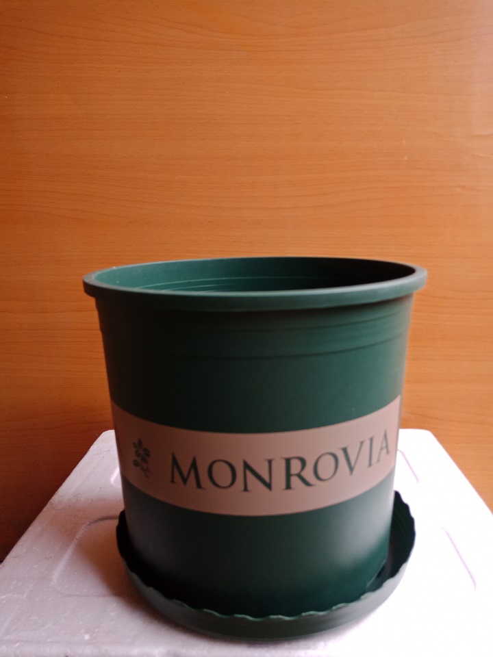 CHẬU TRỒNG CÂY CAO CẤP MONROVIA NHẬP KHẨU MANG PHONG CÁCH CHÂU ÂU - shop vật tư nông nghiệp