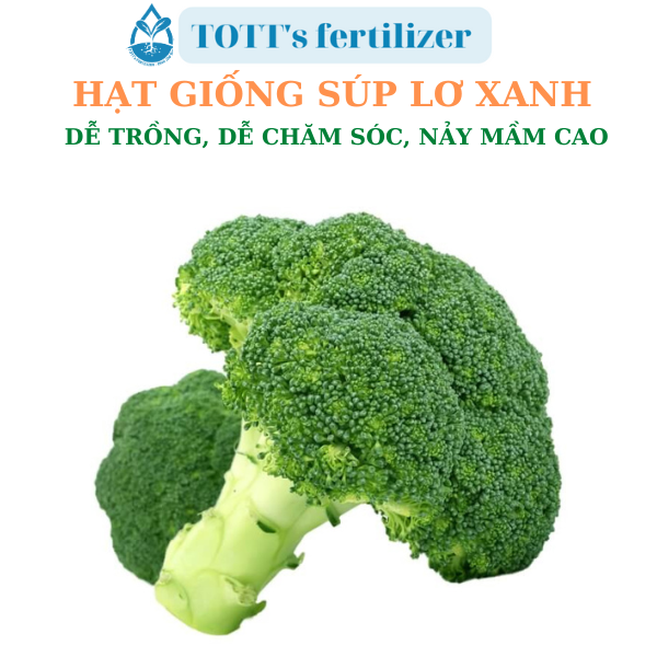Hạt giống súp lơ xanh dễ nảy mầm dễ trồng TOTT's fertilizer