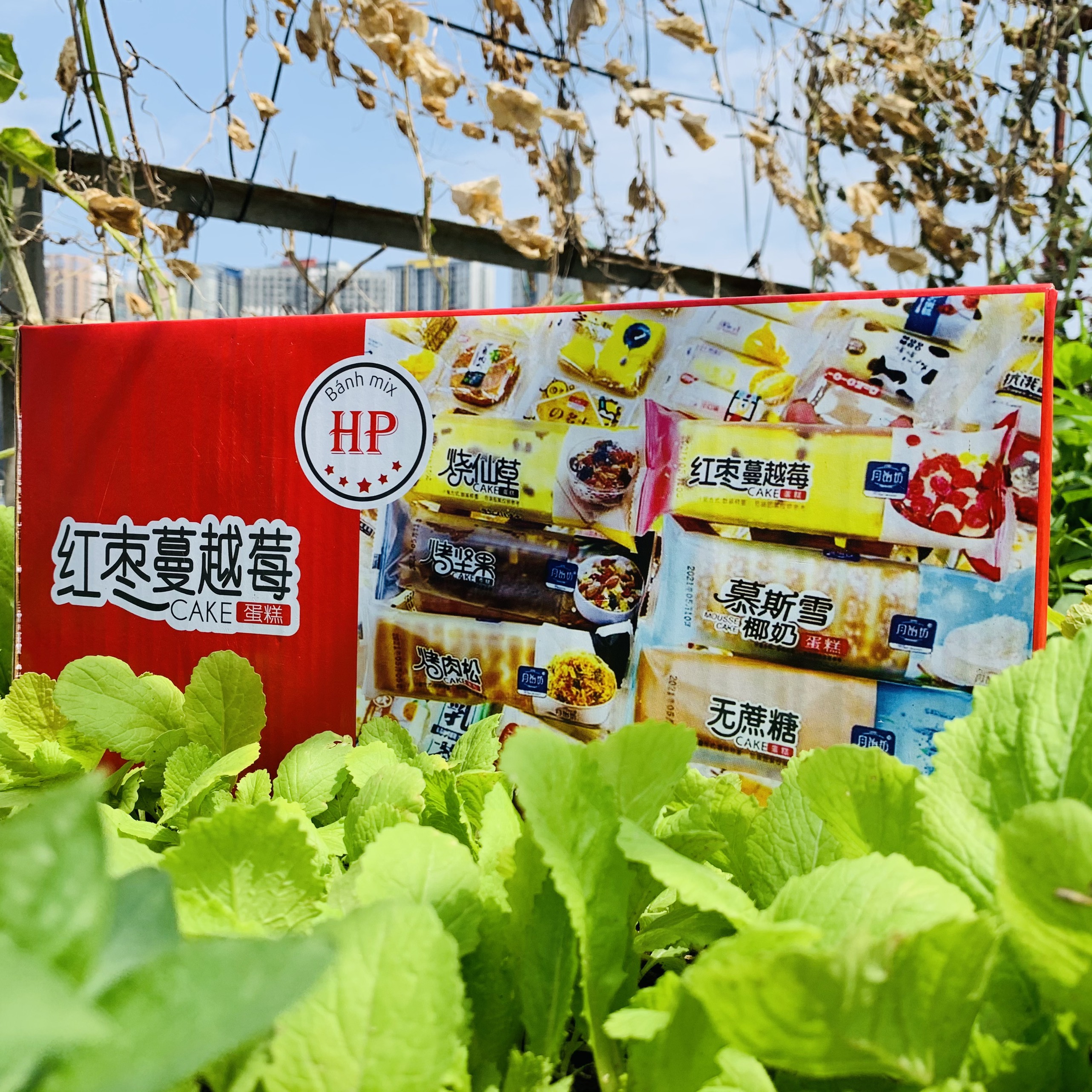 Thùng 2kg Bánh Bông Lan Mix Vị Đài Loan - Doanngonvietnam