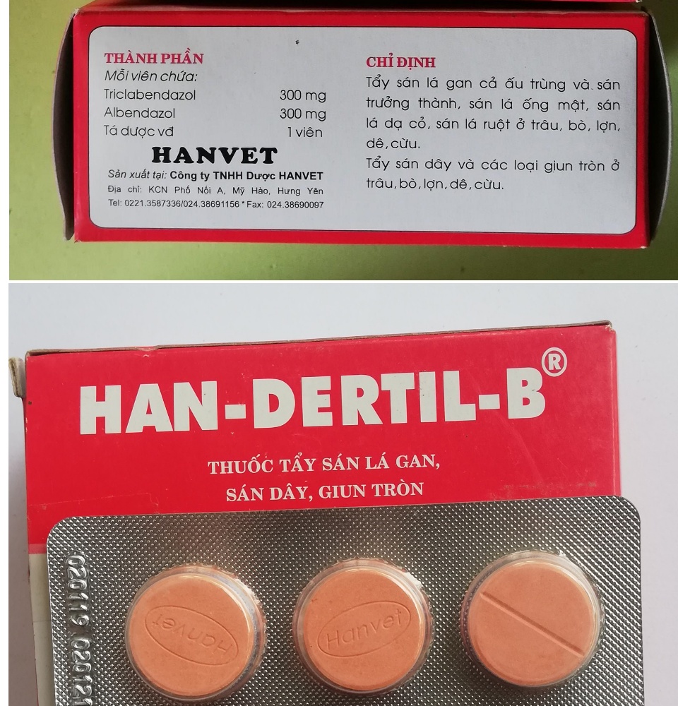 30 viên han- dertil b - tẩy sán lá gan- sán dây- giun tròn