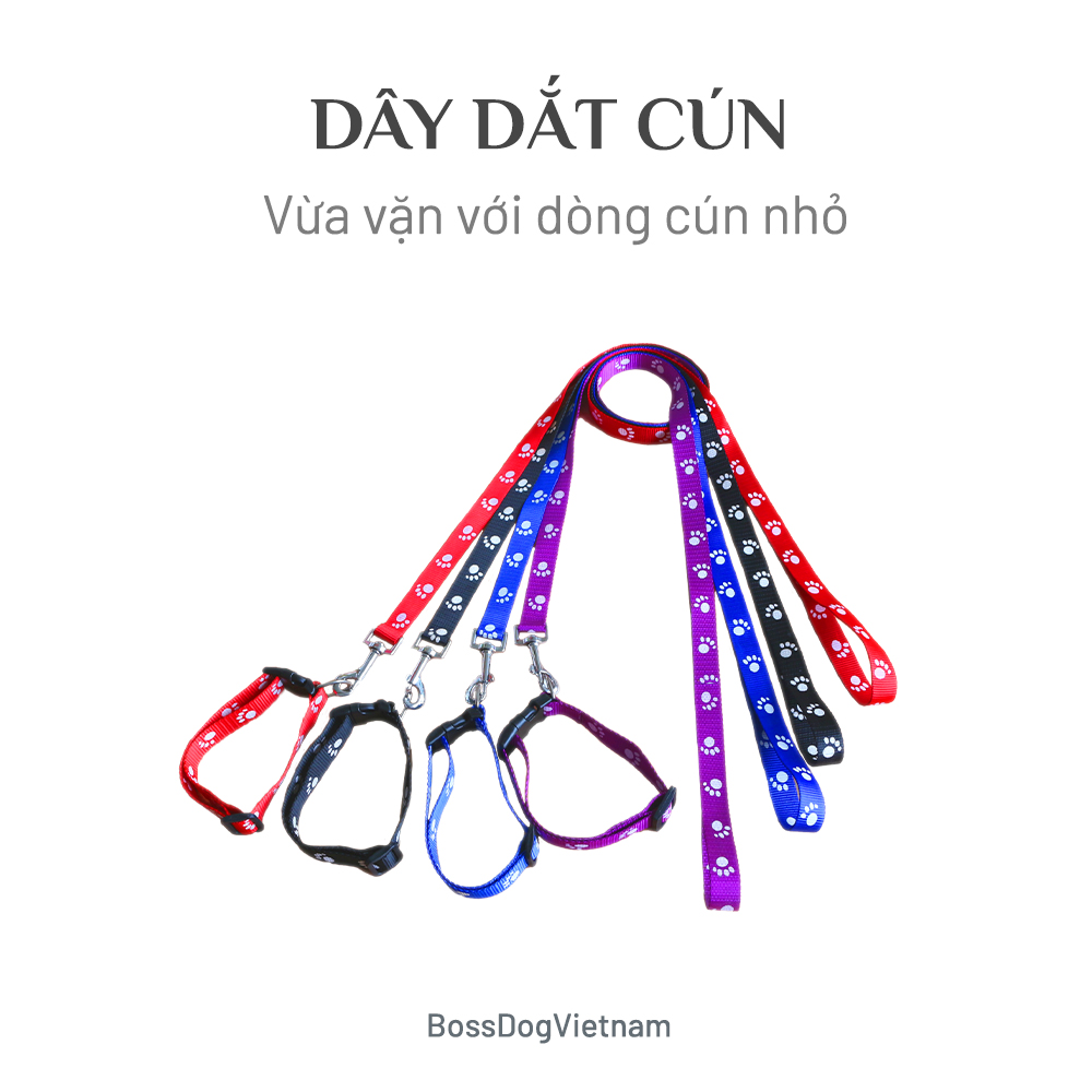 Dây dắt thú cưng cơ bản | BossDog
