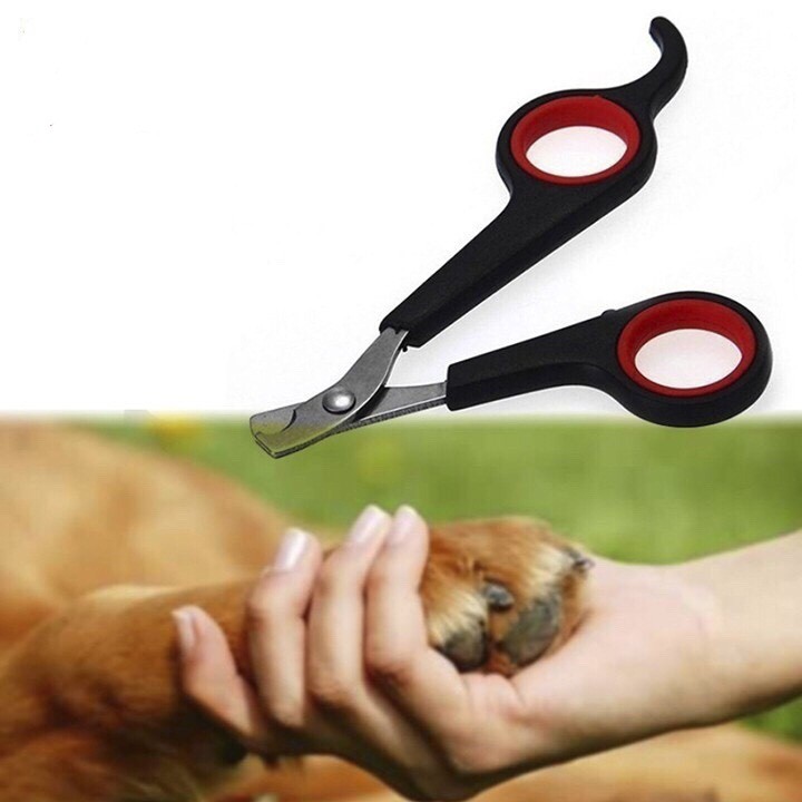 [HCM]Kéo cắt móng cho thú cưng chó mèo con size nhỏ sản phẩm tốt chất lượng cao cam kết như hình