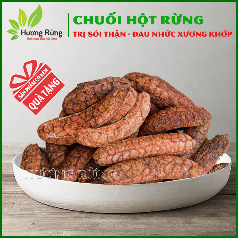 Chuối hột rừng 1kg đặc sản hương rừng loại ngon thơm ngọt tự nhiên