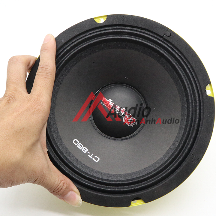 [HCM]Loa Trung 20 Soway 4 ôm  giá 01 cái