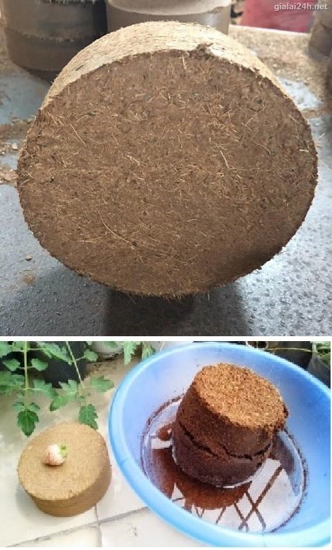 Viên nén mụn xơ dừa bánh lớn, đất mụn xơ dừa nén viên trồng cây cảnh, hoa, rau mầm