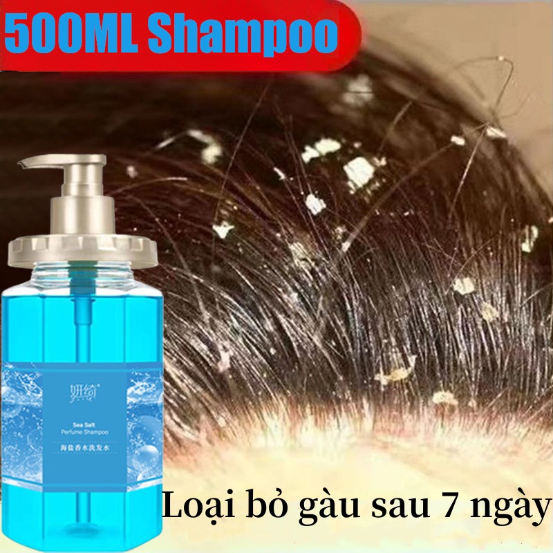 Dầu gội gàu Làm Sạch Gàu Anti-Dandruff Shampoo dầu gội cho da dầu bết dầu gội nấm da đầu hết ngứa da đầu