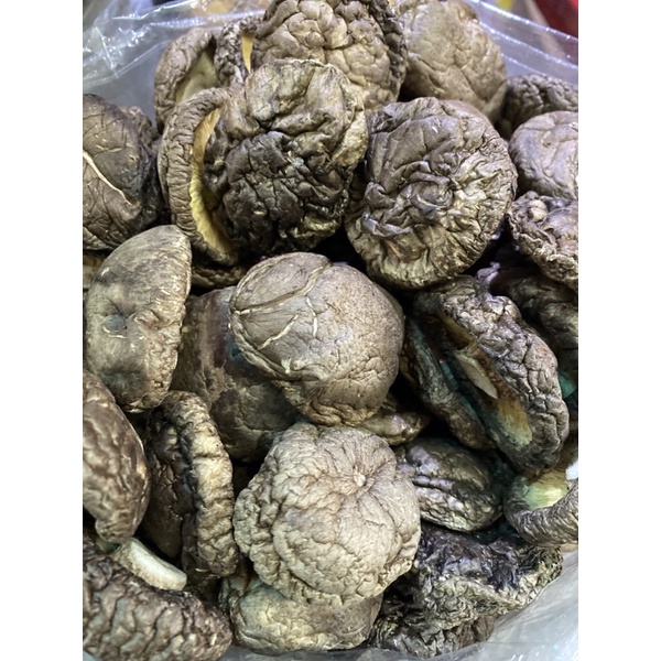 Nấm đông cô đẹp size trung