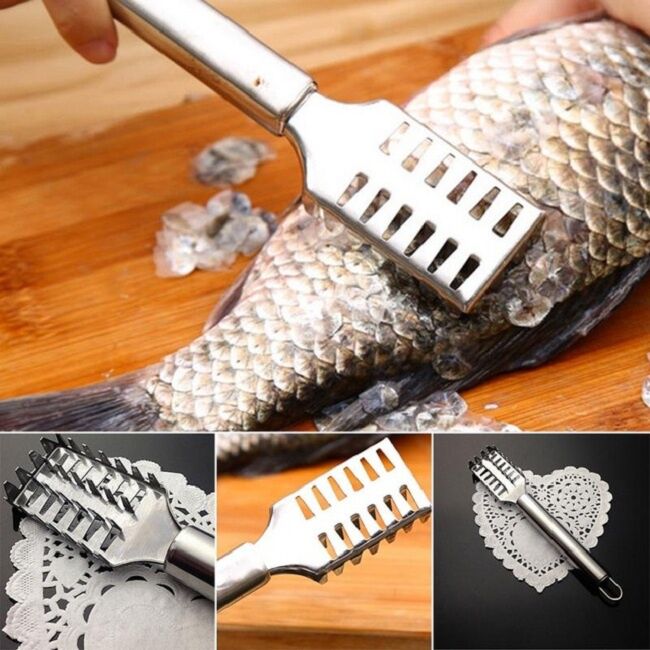 Dụng cụ đánh vảy cá chuyên dụng.