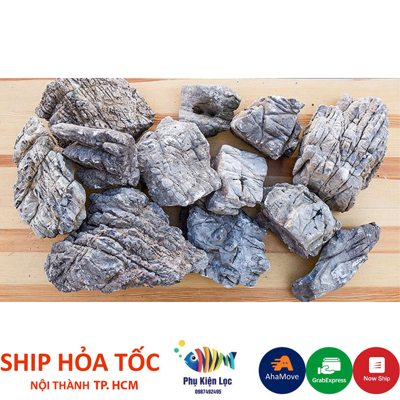 Đá Da voi trang trí setup bể cá cảnh thuỷ sinh