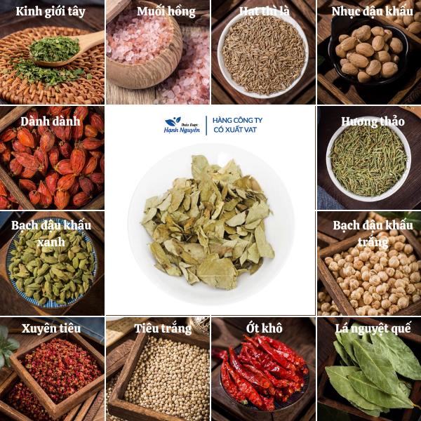 Lá cà ri 500g, Curry leaves, gia vị nấu cari, ướp thịt - Thảo dược hạnh nguyên