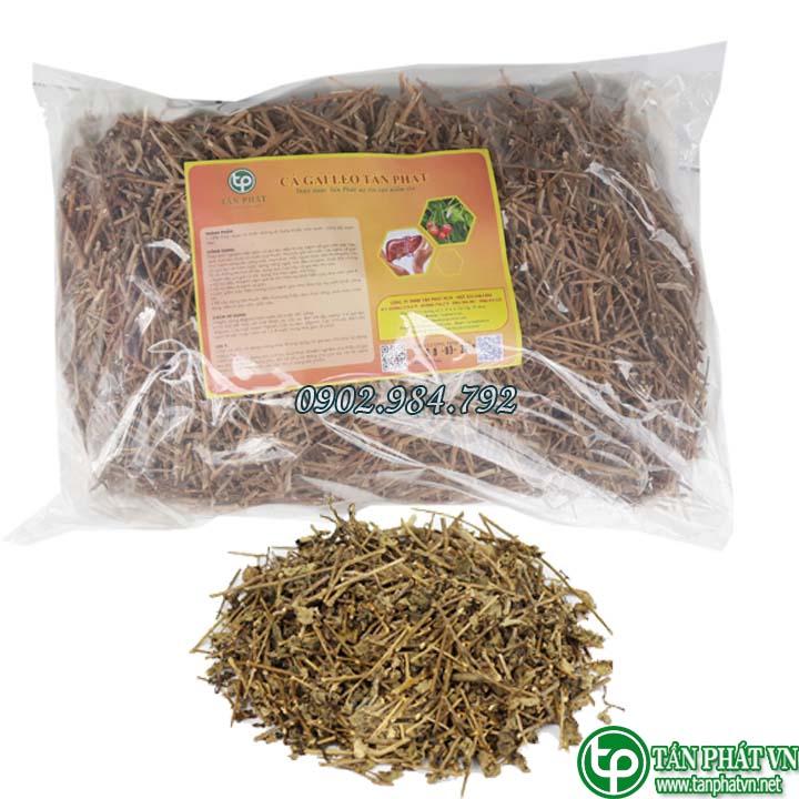Cà gai leo khô 500g