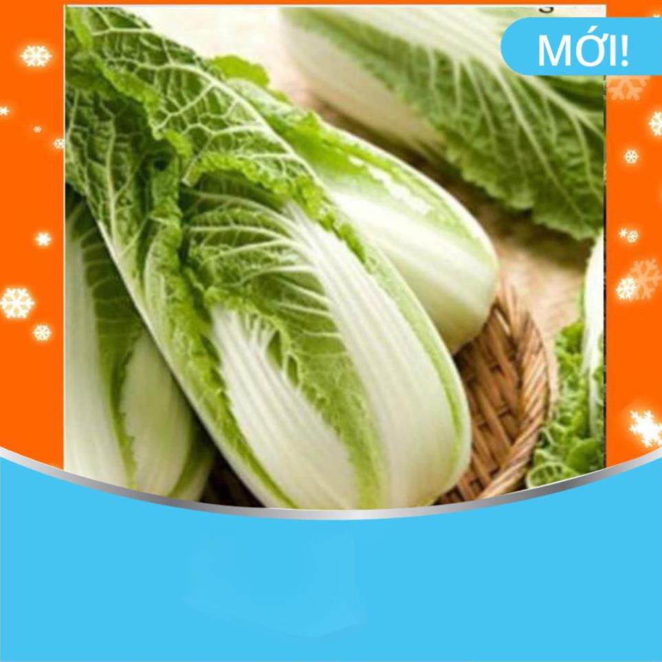 Hạt Giống Cải Thảo Chịu Nhiệt  (Đài Loan)