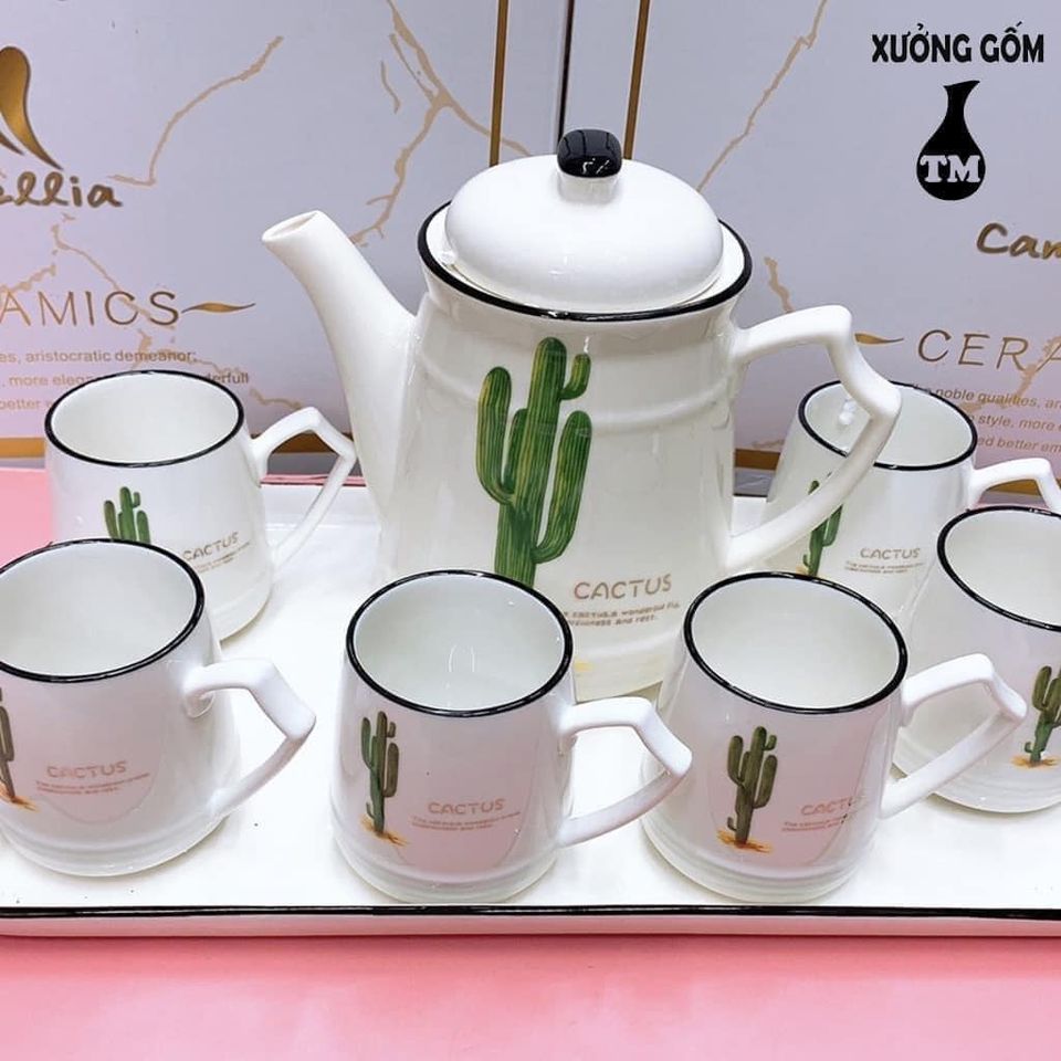 Bộ bình 6 cốc sứ xương rồng kèm khay cao cấp