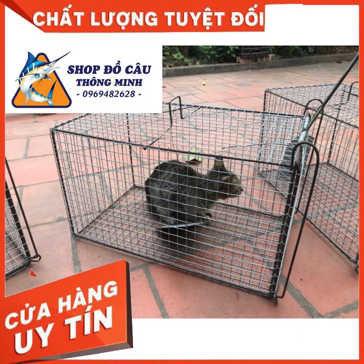 Lồng Bẫy Mèo, Chuột, Sóc Rừng... long bay meo rung, long bay meo gia re ( Shop Đồ Câu Thông Minh )