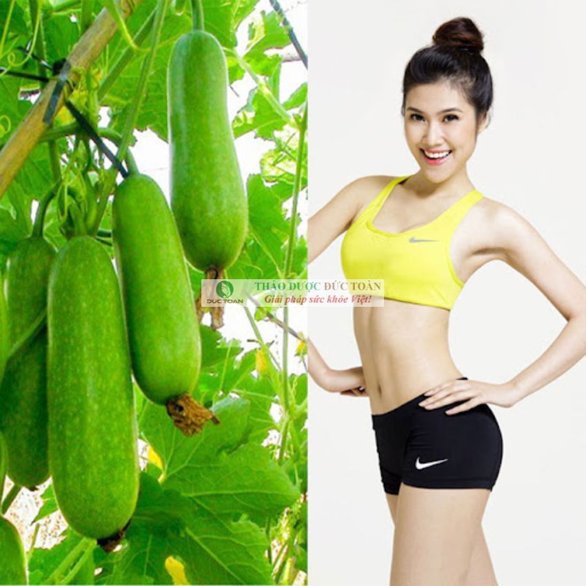 Sỉ bí đao sấy khô - thanh nhiệt, giảm cân, đẹp da - gói 1kg