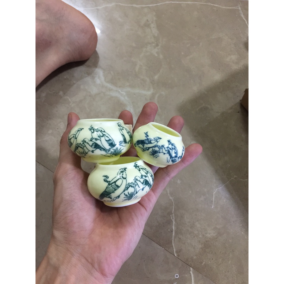 Cóng chim chào mào, chòe than, chòe lửa, my, cóng chim rẻ đẹp