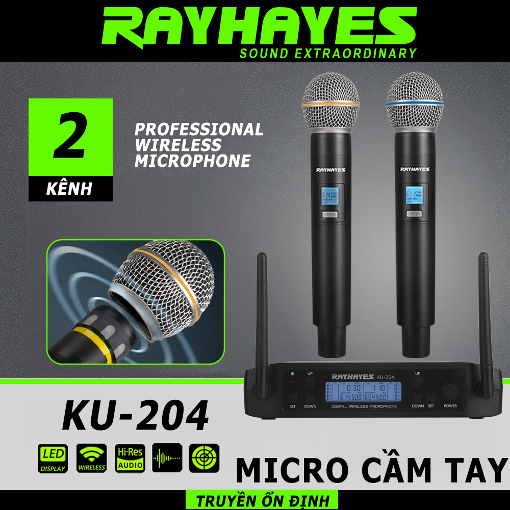 RAYHAYES Micro không dây kép điều chỉnh tần số UHF cho Videoke