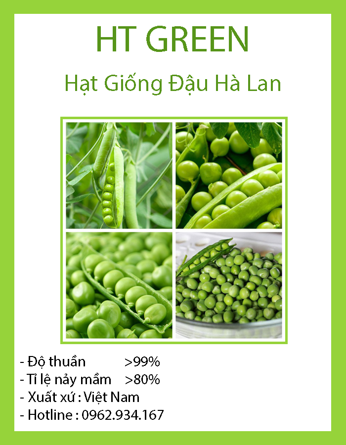 Hạt Giống Đậu Hà Lan