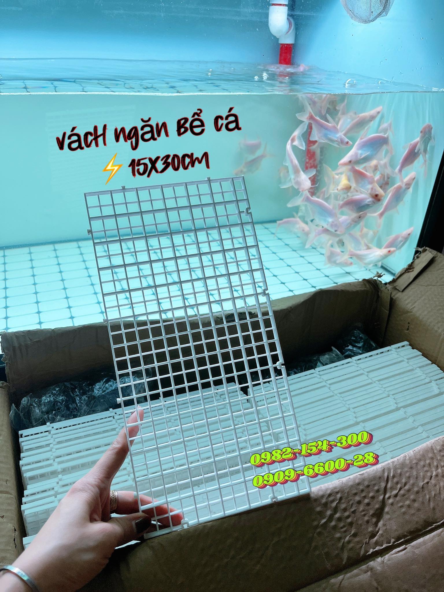 Vỉ nhựa ngăn bể cá | tấm ngăn vách | tấm ngăn bể cá cảnh | hít kính giữ vách ngăn hồ cá