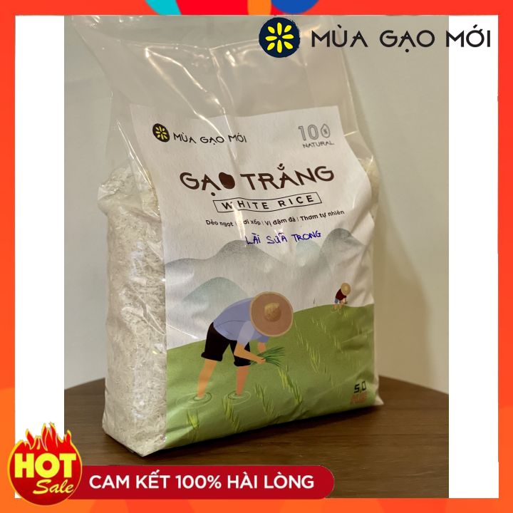 🌾gạo lài sữa trong hạt dài cơm dẻo thơm ngon túi 5kg