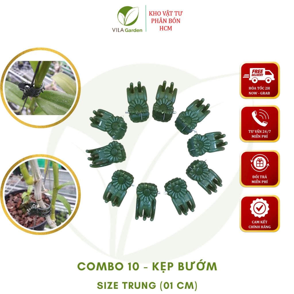 Kẹp bướm dùng kẹp cố định cây hoa lan