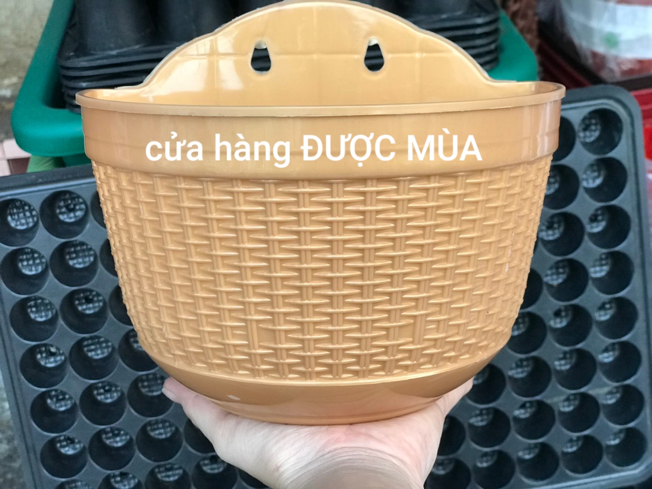 2 chậu ốp tường bán nguyệt giả mây 20x12cm