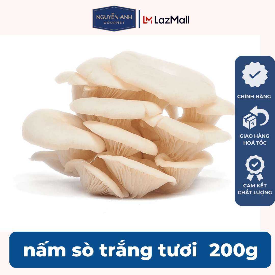 Nấm sò trắng tươi cao cấp Nấm Xanh