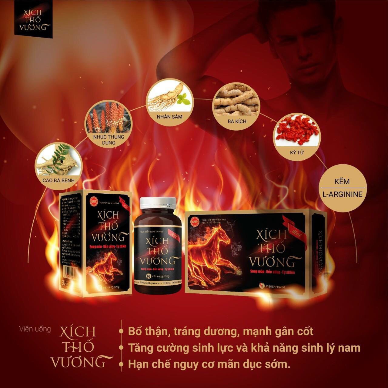 Xích thố vương - viên uống hỗ trợ sức khỏe nam giới hộp 20 viên