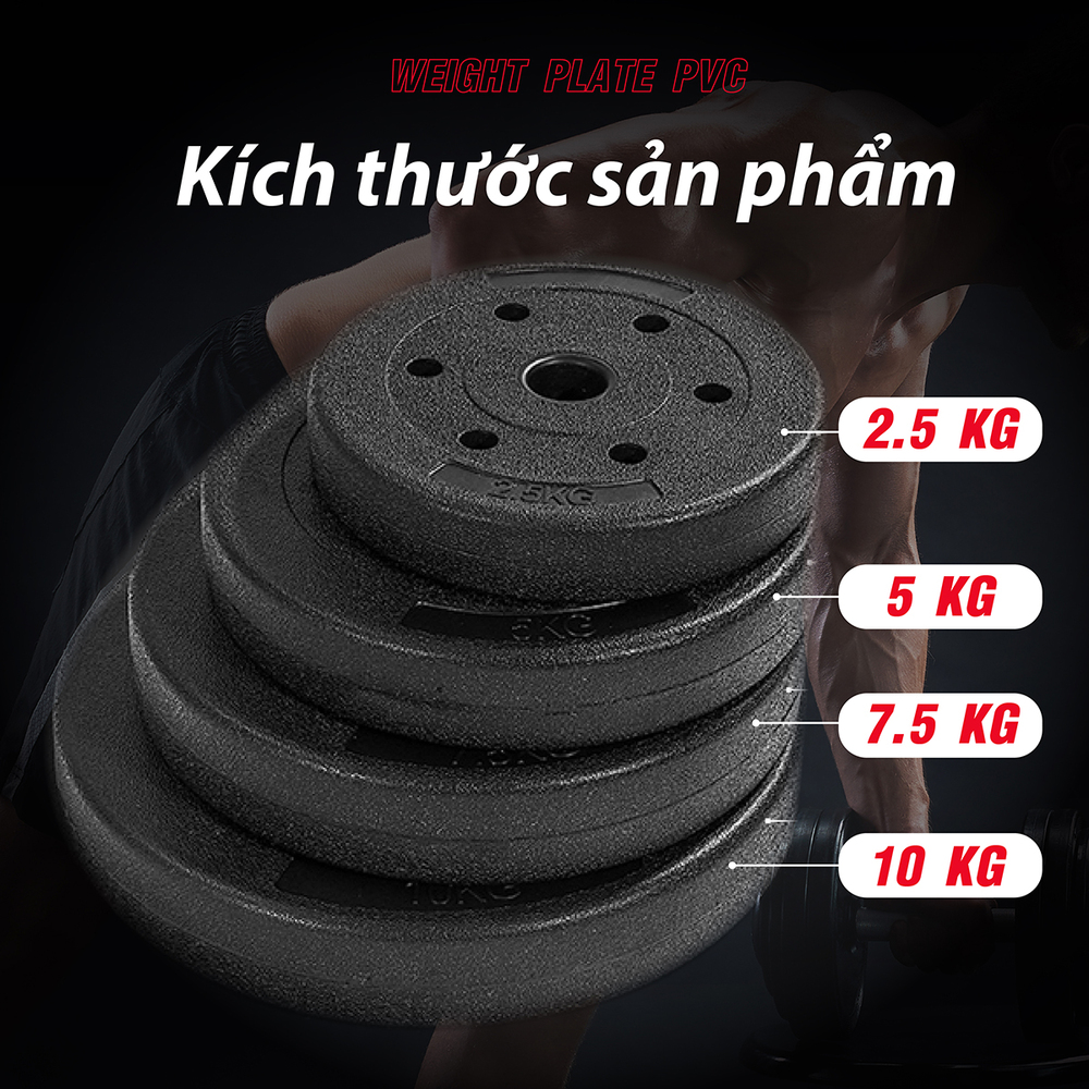BG - Tạ miếng nhựa 1,25kg , 2.5kg , 5kg , 7,5kg , 10kg , 15kg , 20kg đặc ruột tạ bánh nhựa tạ đĩa