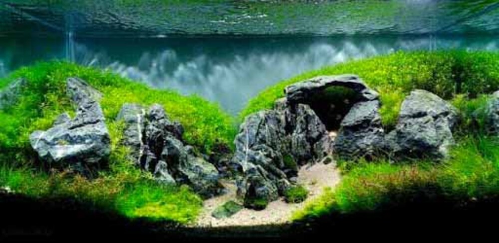 1KG Đá Kẹp Kem Trang Trí Hồ Cá Thuỷ Sinh - Đá Kẹp Kem Thiết Kế Bể Cá Thuỷ Sinh