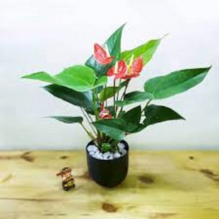 4UO77bpd07INitO3zb8u_simg_d0daf0_800x1200_max.jpg