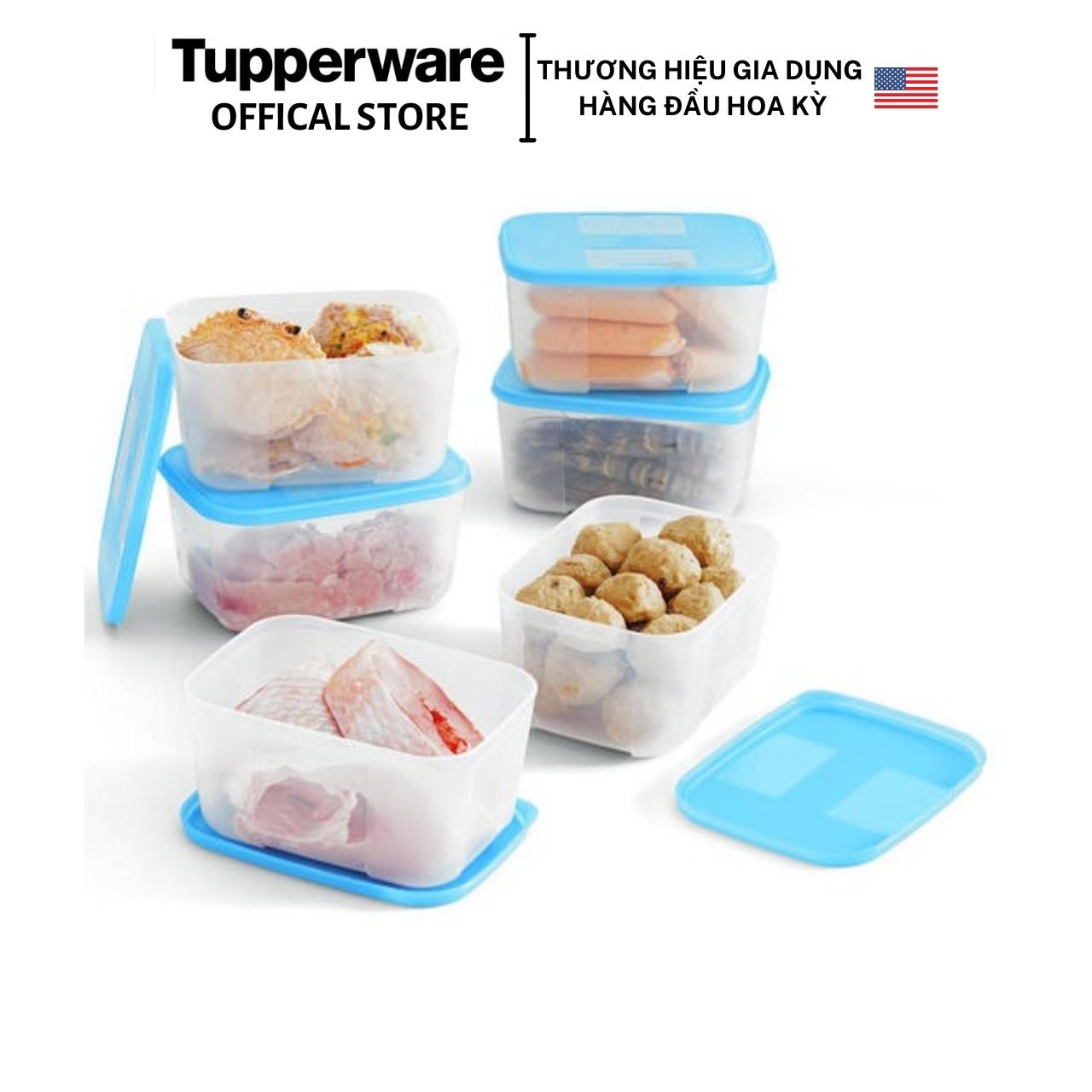 Bộ hộp trữ đông Tupperware Freezermate 650ml -Hàng chính hãng - Bảo hành trọn đời - Nhựa nguyên sinh, an toàn