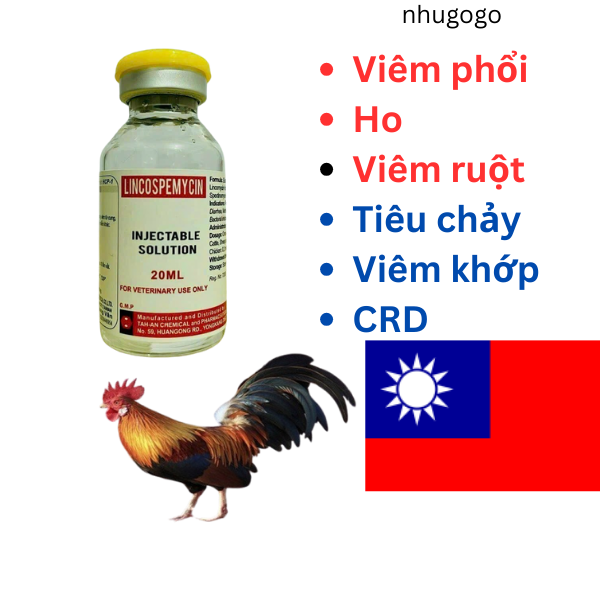 Lincospemycin Linspec Lincocin Đài Loan qui cách 20ml  gà khò khè