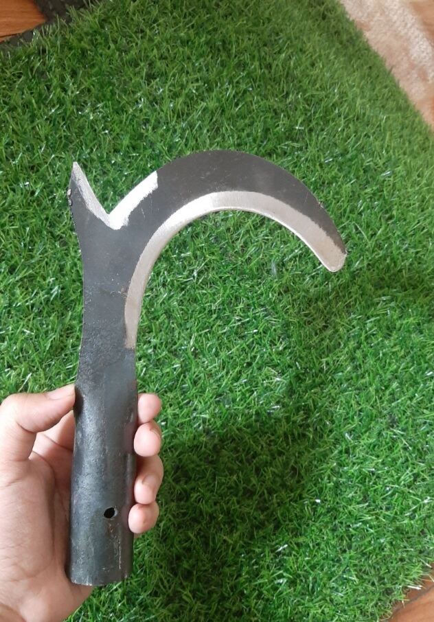 Câu liêm giựt nhánh