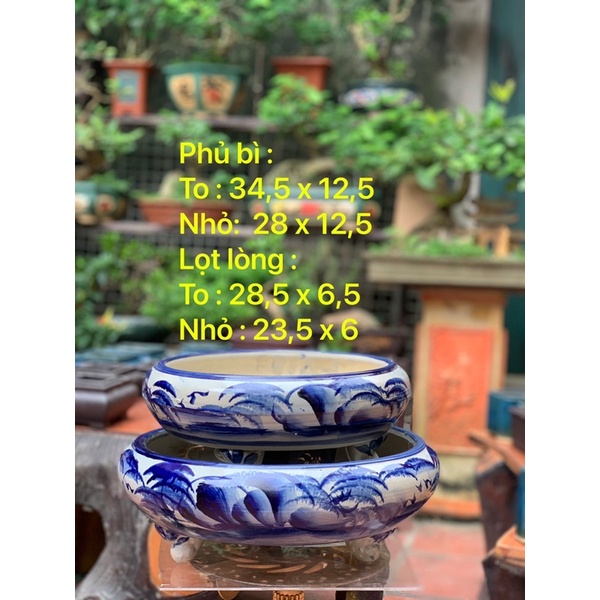 Ang tròn trồng cây bon sai - trồng cây bonsai cổ thụ