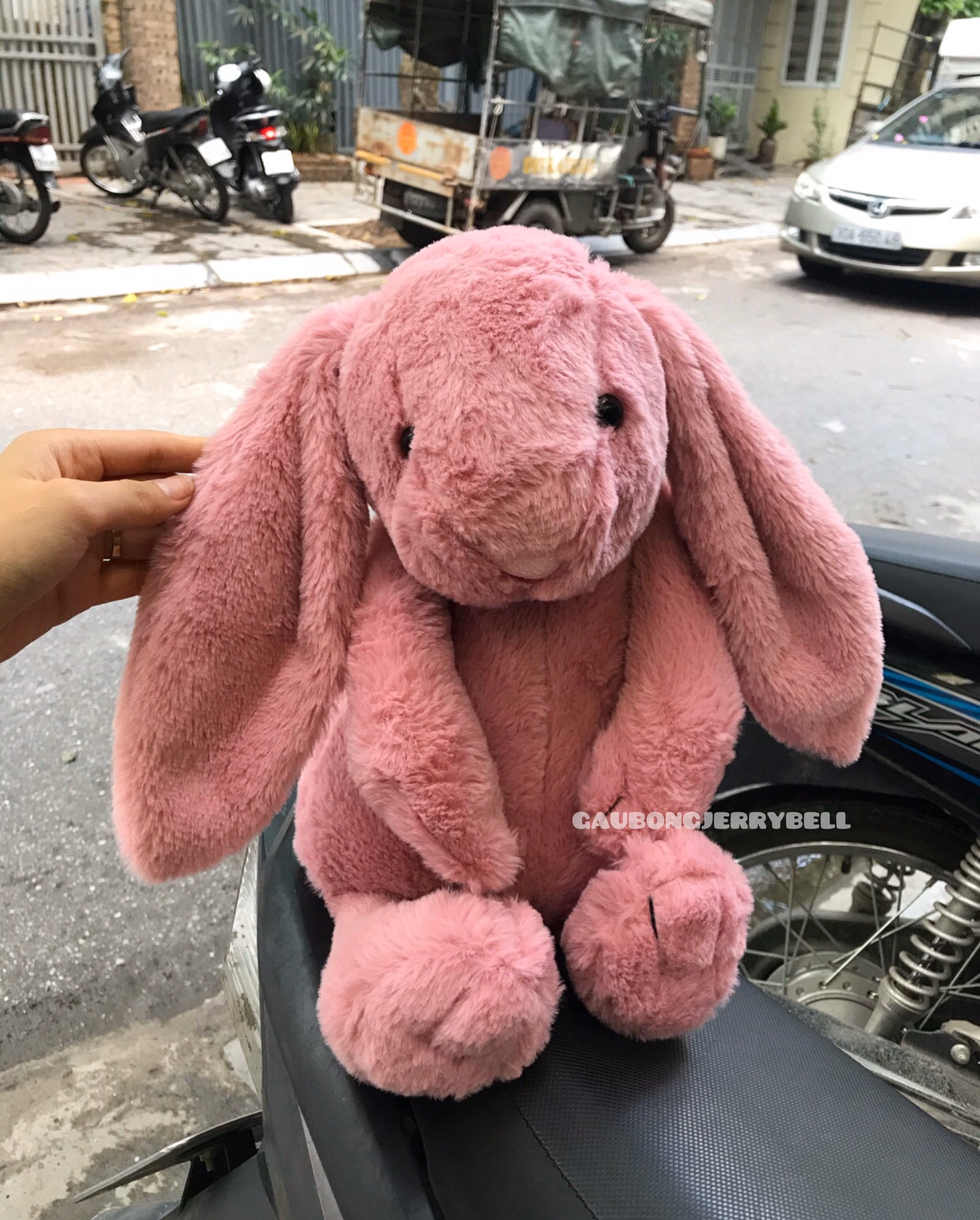 Thỏ Bông Jellycat Bunny Cao Cấp Lông Mịn Size 45cm