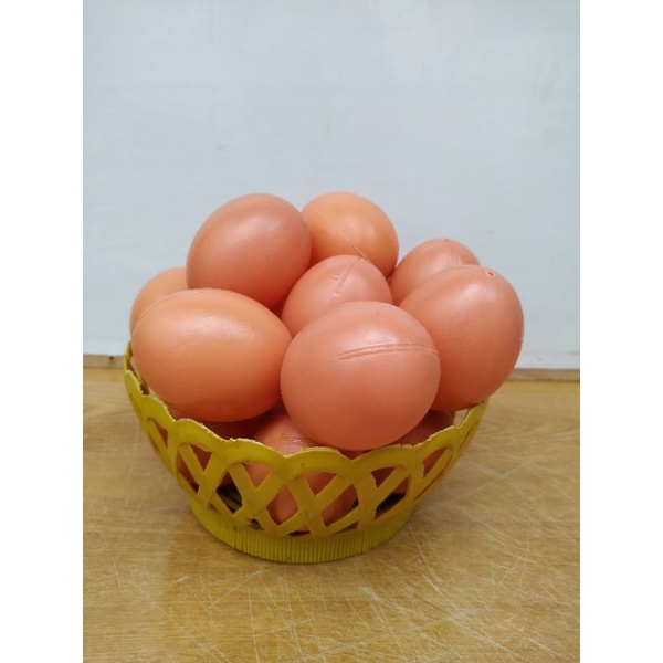 Trứng gà trứng vịt giả bằng nhựa để trang trí