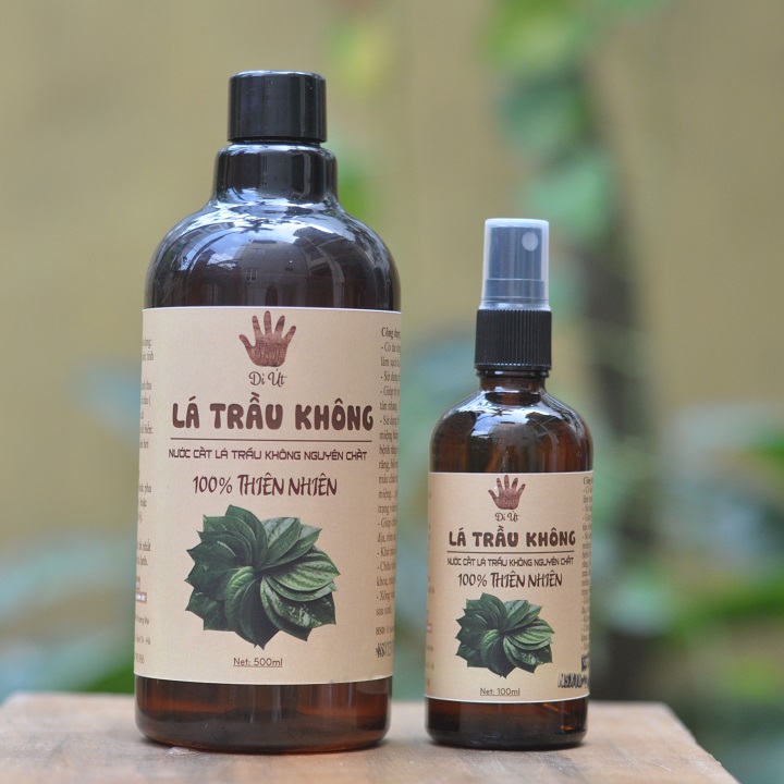 Combo 1 chai Nước cất lá trầu không 500ml nguyên chất và 1chai Nước cất lá trầu không 100ml nguyên chất