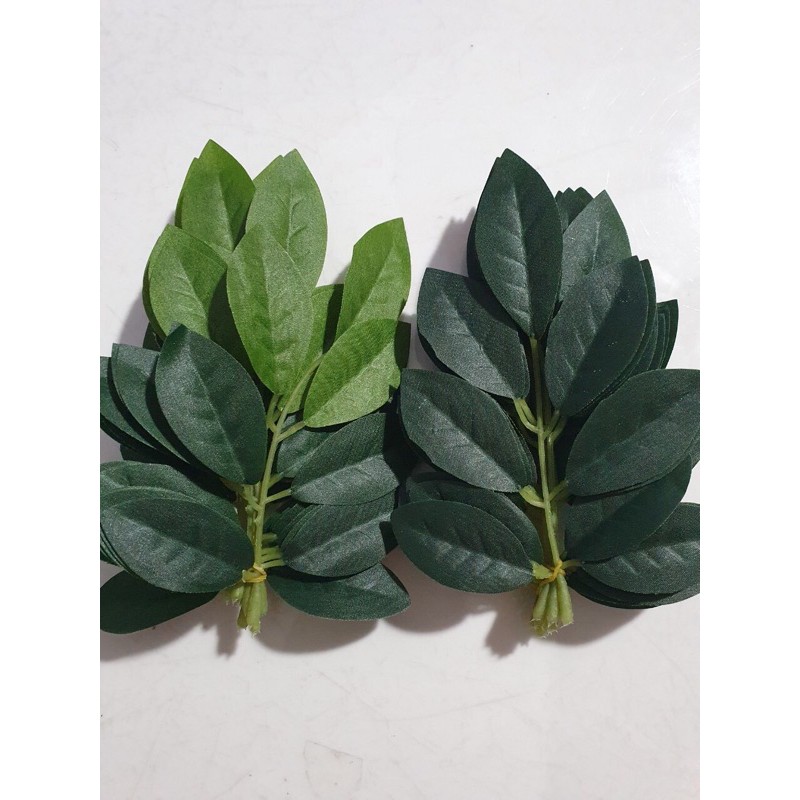 [HCM]1 bộ Lá [ 30 Nhánh ] lợp lồng Cu Gáy gân xanh .