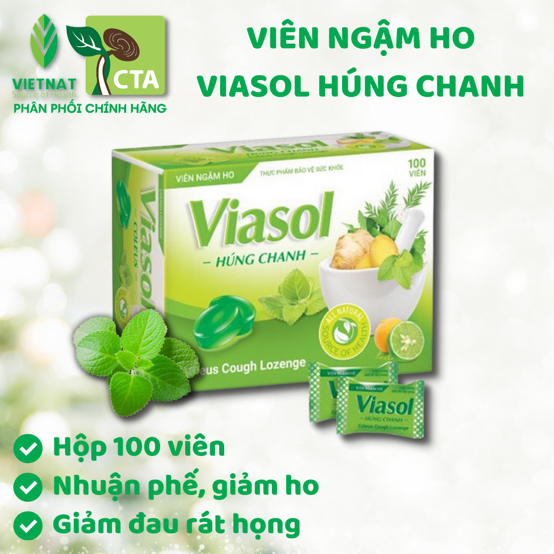 Viên Ngậm Húng Chanh Viasol Thảo Mộc Vietnat Hổ Trợ Giảm Ho