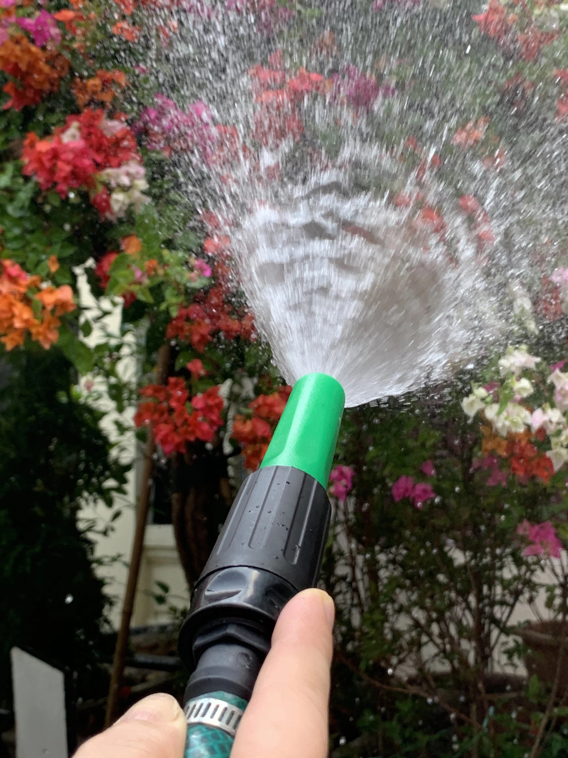 Vòi tưới cây đa năng SUWA, tưới lan, tưới vườn cây, rửa xe... (xanh)