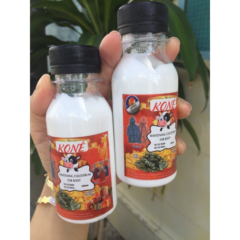 Ủ sữa non kích trắng kone