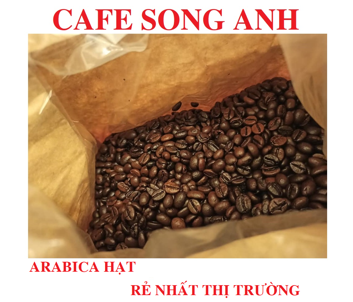 0.5kg cà phê hạt rang mộc song anh cafe - 100% arabica thượng hạng - chọn trái chín - phù hợp pha phin và pha máy - cafe hạt rang mộc - cà phê arabica